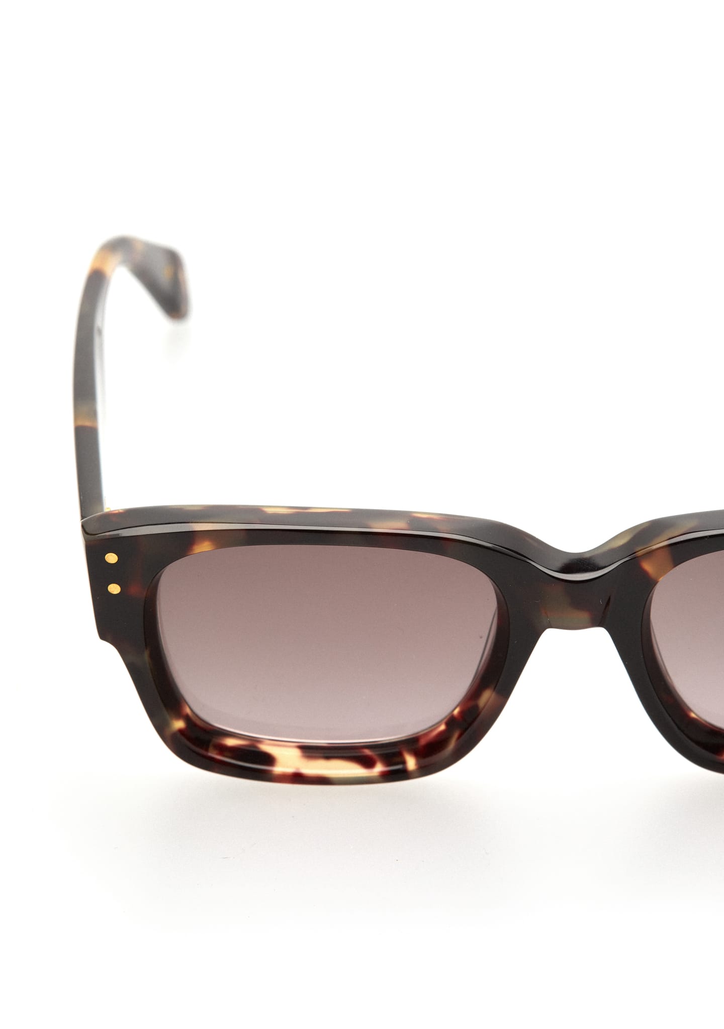 Kaleos Atreides 50/21 | Tortoise Shell
